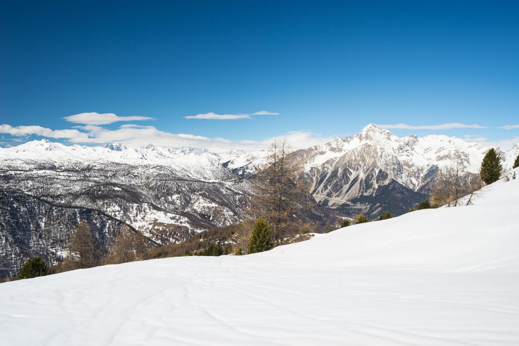 Appartamento La Marmotta Mountain Retreat - Happy Rentals 克拉维埃 外观 照片